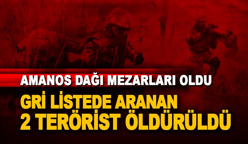 Mehmetçik vurdu, Amanos Dağı gri listedeki 2 teröriste mezar oldu