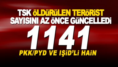 TSK, Zeytin Dalı'da öldürülen terörist sayısını açıkladı: 1141