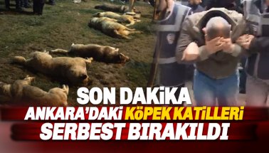 Son dakika. Ankara’daki köpek katilleri serbest bırakıldı