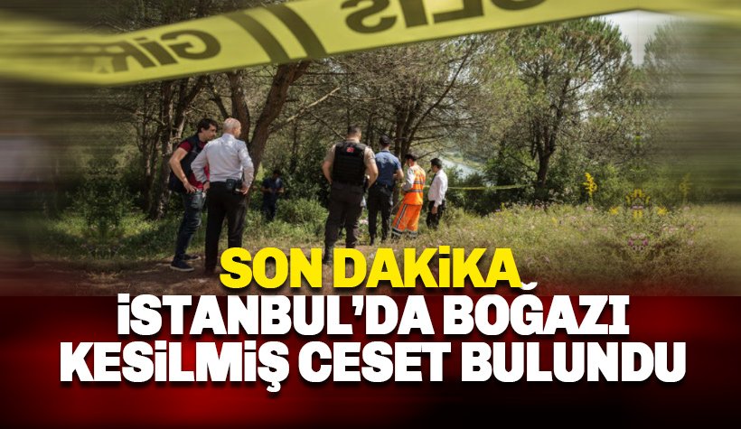 Son dakika: İstanbul'da boğazı kesilmiş erkek cesedi bulundu