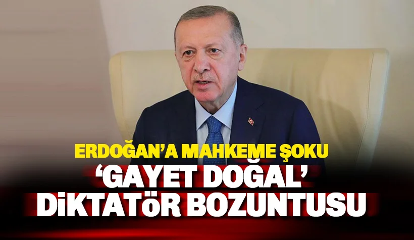 Erdoğan 'Diktatör Bozuntusu' davasını kaybetti: Kararda 'gayet doğal' denildi