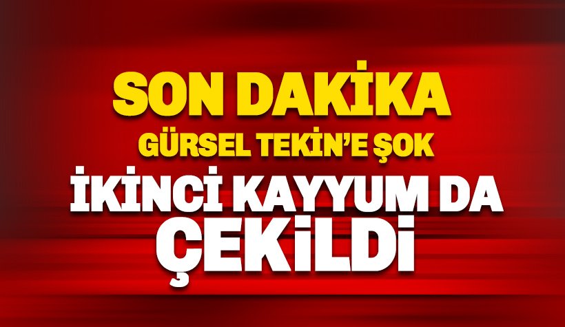 İkinci kayyum da heyetten çekildi