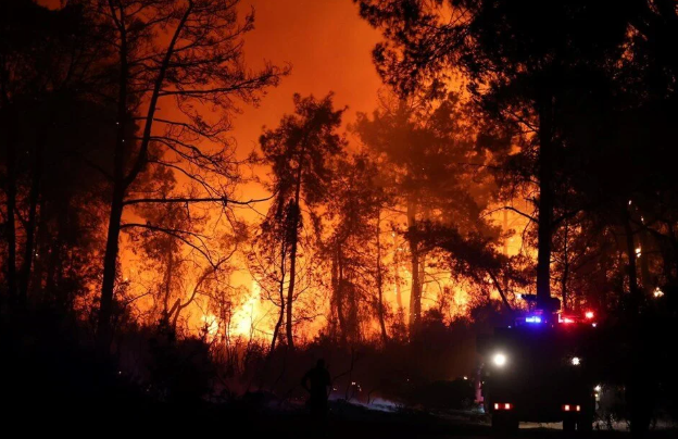 Antalya, Alanya ve Muğla'daki yangın evlere yaklaştı: Lüks otel boşaltıldı