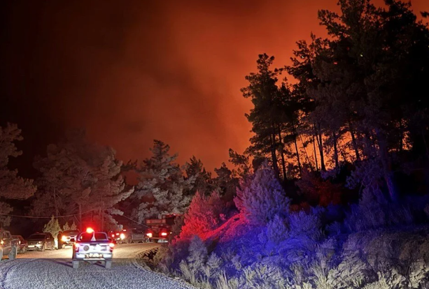 Antalya, Alanya ve Muğla'daki yangın evlere yaklaştı: Lüks otel boşaltıldı