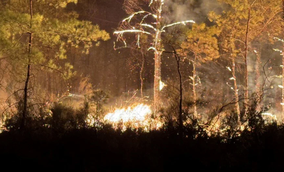 Antalya, Alanya ve Muğla'daki yangın evlere yaklaştı: Lüks otel boşaltıldı